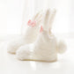 Newborn Baby Girls Socks